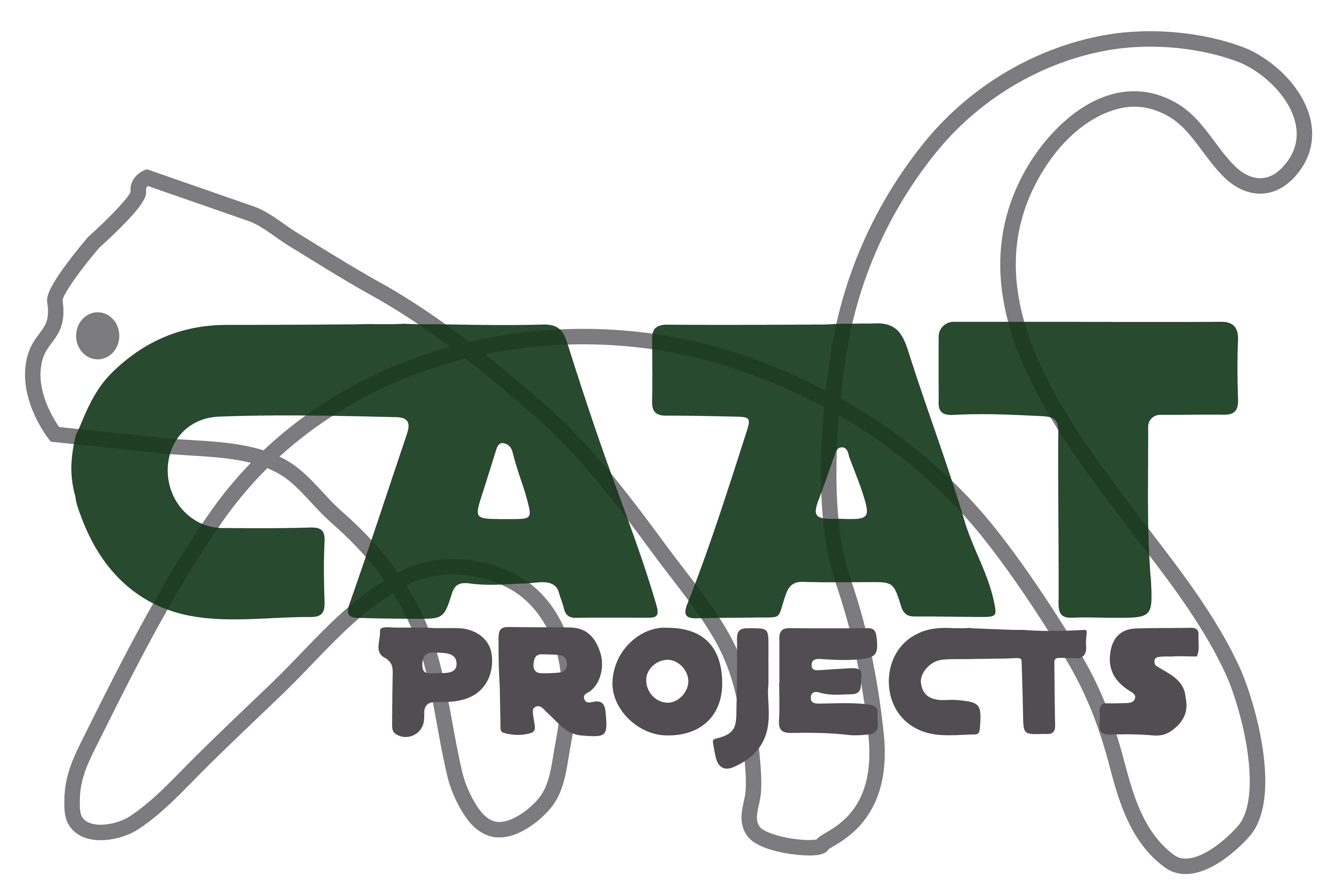 CAAT logo