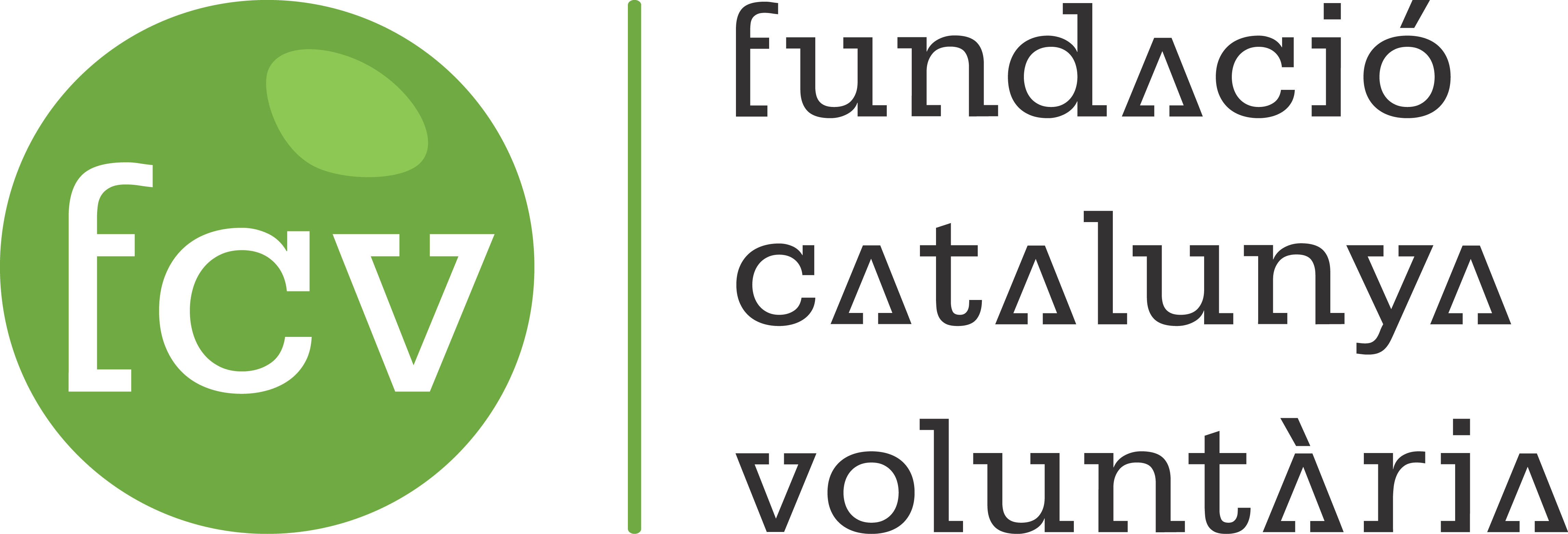 FCV logo